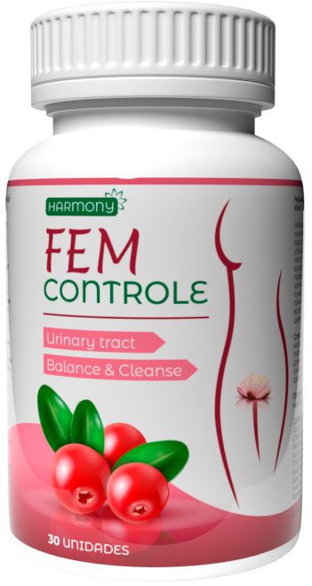 FEM Controle